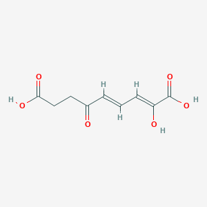 molecular formula C9H10O6 B1236408 (2Z,4E)-2-羟基-6-氧代壬-2,4-二烯二酸 