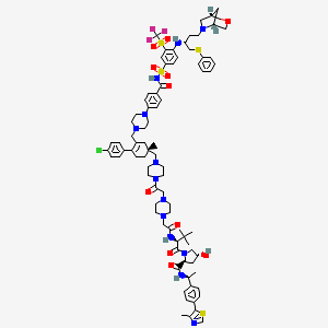 molecular formula C83H105ClF3N13O11S4 B12364138 (2S,4R)-1-[(2S)-2-[[2-[4-[2-[4-[[(1R)-4-(4-chlorophenyl)-1-methyl-3-[[4-[4-[[4-[[(2R)-4-[(1R,4R)-2-oxa-5-azabicyclo[2.2.1]heptan-5-yl]-1-phenylsulfanylbutan-2-yl]amino]-3-(trifluoromethylsulfonyl)phenyl]sulfonylcarbamoyl]phenyl]piperazin-1-yl]methyl]cyclohex-3-en-1-yl]methyl]piperazin-1-yl]-2-oxoethyl]piperazin-1-yl]acetyl]amino]-3,3-dimethylbutanoyl]-4-hydroxy-N-[(1S)-1-[4-(4-methyl-1,3-thiazol-5-yl)phenyl]ethyl]pyrrolidine-2-carboxamide 