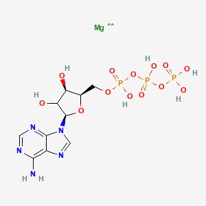 molecular formula C10H16MgN5O13P3 B12364182 CID 171714189 