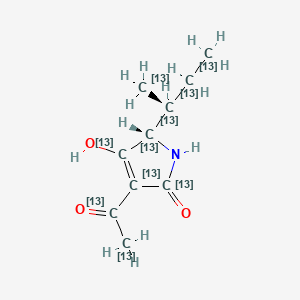 (2S)-4-acetyl-2-[(2S)-(1,2,3,4-13C4)butan-2-yl]-3-hydroxy-(2,3,4,5-13C4)1,2-dihydropyrrol-5-one