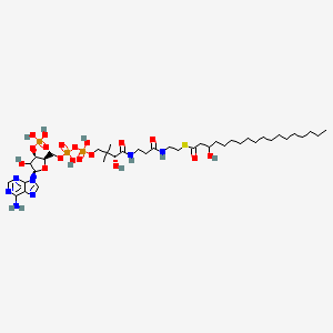 molecular formula C39H70N7O18P3S B12364422 S-[2-[3-[[(2R)-4-[[[(2R,3R,5R)-5-(6-aminopurin-9-yl)-4-hydroxy-3-phosphonooxyoxolan-2-yl]methoxy-hydroxyphosphoryl]oxy-hydroxyphosphoryl]oxy-2-hydroxy-3,3-dimethylbutanoyl]amino]propanoylamino]ethyl] 3-hydroxyoctadecanethioate 