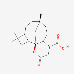 molecular formula C19H28O4 B1236486 3-HYDROXY-4-(SUCCIN-2-YL)-CARYOLANE delta-LACTONE 