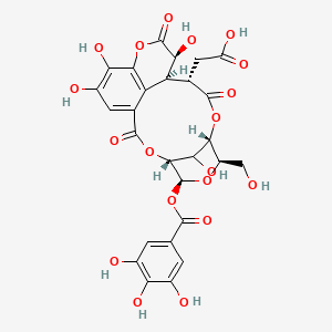 molecular formula C27H24O19 B12364984 2-[(4R,5S,7R,8S,11S,12S,13S)-13,17,18,21-tetrahydroxy-7-(hydroxymethyl)-2,10,14-trioxo-5-(3,4,5-trihydroxybenzoyl)oxy-3,6,9,15-tetraoxatetracyclo[10.7.1.14,8.016,20]henicosa-1(19),16(20),17-trien-11-yl]acetic acid 