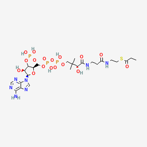 molecular formula C24H40N7O17P3S B12365784 Propionyl CoA 