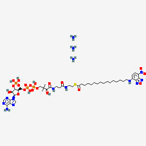 molecular formula C43H77N14O20P3S B12365904 S-[2-[3-[[(2R)-4-[[[(2R,4S,5R)-5-(6-aminopurin-9-yl)-4-hydroxy-3-phosphonooxyoxolan-2-yl]methoxy-hydroxyphosphoryl]oxy-hydroxyphosphoryl]oxy-2-hydroxy-3,3-dimethylbutanoyl]amino]propanoylamino]ethyl] 16-[(4-nitro-2,1,3-benzoxadiazol-7-yl)amino]hexadecanethioate;azane 