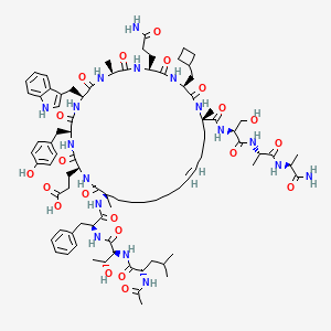 molecular formula C87H125N17O21 B12366428 3-[(2S,5S,8S,11S,14S,17S,20S,24E,32R)-32-[[(2S)-2-[[(2S,3R)-2-[[(2S)-2-acetamido-4-methylpentanoyl]amino]-3-hydroxybutanoyl]amino]-3-phenylpropanoyl]amino]-20-[[(2S)-1-[[(2S)-1-[[(2S)-1-amino-1-oxopropan-2-yl]amino]-1-oxopropan-2-yl]amino]-3-hydroxy-1-oxopropan-2-yl]carbamoyl]-14-(3-amino-3-oxopropyl)-17-(cyclobutylmethyl)-5-[(4-hydroxyphenyl)methyl]-8-(1H-indol-3-ylmethyl)-11,20,32-trimethyl-3,6,9,12,15,18,33-heptaoxo-1,4,7,10,13,16,19-heptazacyclotritriacont-24-en-2-yl]propanoic acid 