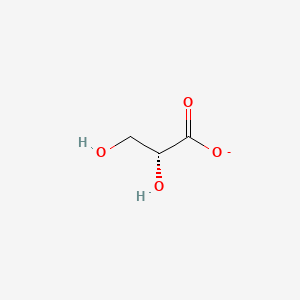 molecular formula C3H5O4- B1236648 D-glycerate 