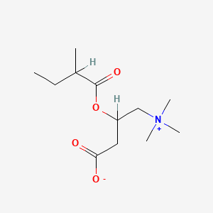 B1236675 2-Methylbutyroylcarnitine CAS No. 31023-25-3