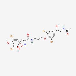 molecular formula C23H25Br4N3O7 B1236685 (5S,6R)-N-[3-[4-(2-acetamido-1-hydroxyethyl)-2,6-dibromophenoxy]propyl]-7,9-dibromo-6-hydroxy-8-methoxy-1-oxa-2-azaspiro[4.5]deca-2,7,9-triene-3-carboxamide 