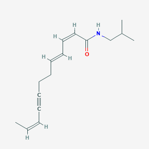 molecular formula C16H23NO B1236730 (2Z,4E,10Z)-N-Isobutyl-2,4,10-dodecatriene-8-ynamide 