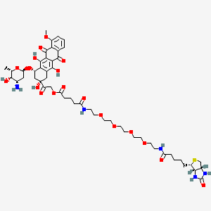 Biotin-doxorubicin