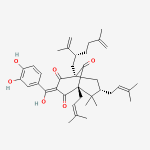 molecular formula C38H50O6 B1236766 (1R,3Z,5S,7S)-3-[(3,4-dihydroxyphenyl)-hydroxy-methylene]-1-[(2R)-2-isopropenyl-5-methyl-hex-5-enyl]-6,6-dimethyl-5,7-bis(3-methylbut-2-enyl)bicyclo[3.3.1]nonane-2,4,9-trione 