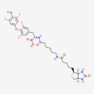 molecular formula C31H36I4N4O7S B12368249 Biotin-hexanamide-(L-Thyroxine) 