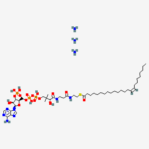 molecular formula C45H89N10O17P3S B12368253 S-[2-[3-[[(2R)-4-[[[(2R,4S,5R)-5-(6-aminopurin-9-yl)-4-hydroxy-3-phosphonooxyoxolan-2-yl]methoxy-hydroxyphosphoryl]oxy-hydroxyphosphoryl]oxy-2-hydroxy-3,3-dimethylbutanoyl]amino]propanoylamino]ethyl] (Z)-tetracos-15-enethioate;azane 