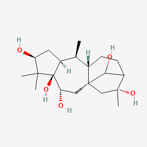 molecular formula C20H34O5 B1236861 (1S,3R,4R,6S,8S,9S,10S,14R)-5,5,9,14-tetramethyltetracyclo[11.2.1.01,10.04,8]hexadecane-3,4,6,14,16-pentol 