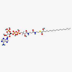 molecular formula C39H70N7O18P3S B12369072 alpha-Hydroxy octadecanoyl coenzyme A 