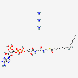 molecular formula C37H73N10O17P3S B12369377 Palmitoleoyl-CoA (triammonium) 