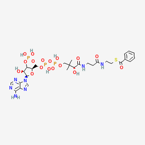 S-[2-[3-[[(2R)-4-[[[(2R,4S,5R)-5-(6-aminopurin-9-yl)-4-hydroxy-3-phosphonooxyoxolan-2-yl]methoxy-hydroxyphosphoryl]oxy-hydroxyphosphoryl]oxy-2-hydroxy-3,3-dimethylbutanoyl]amino]propanoylamino]ethyl] benzenecarbothioate