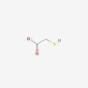 molecular formula C2H3O2S- B1236969 Mercaptoacetate 