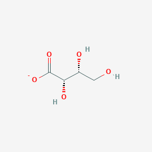 molecular formula C4H7O5- B1236976 D-threonate 