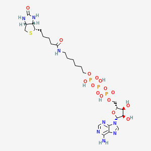 [6-[5-[(3aS,4S,6aR)-2-oxo-1,3,3a,4,6,6a-hexahydrothieno[3,4-d]imidazol-4-yl]pentanoylamino]hexoxy-hydroxyphosphoryl] [[(2R,3S,4R,5R)-5-(6-aminopurin-9-yl)-3,4-dihydroxyoxolan-2-yl]methoxy-hydroxyphosphoryl] hydrogen phosphate