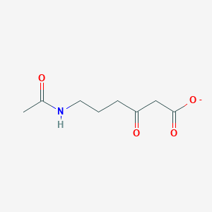 molecular formula C8H12NO4- B1236998 6-乙酰氨基-3-酮己酸 