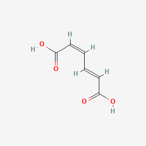 molecular formula C6H6O4 B1237033 cis,trans-Muconic acid CAS No. 1119-73-9