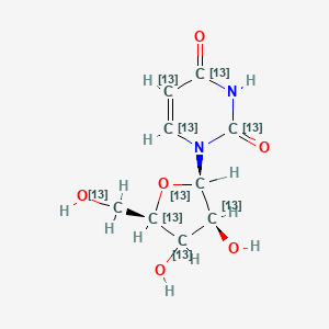 molecular formula C9H12N2O6 B12370383 Uridine-13C9 