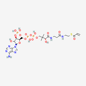 S-[2-[3-[[(2R)-4-[[[(2R,3R,5R)-5-(6-aminopurin-9-yl)-4-hydroxy-3-phosphonooxyoxolan-2-yl]methoxy-hydroxyphosphoryl]oxy-hydroxyphosphoryl]oxy-2-hydroxy-3,3-dimethylbutanoyl]amino]propanoylamino]ethyl] prop-2-enethioate