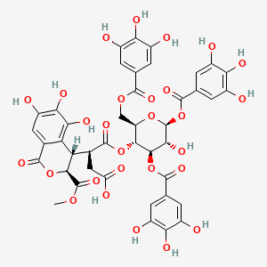 1'-O-methyl neochebulinate