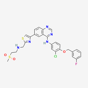 molecular formula C28H25ClFN5O3S2 B1237106 N-[3-氯-4-[(3-氟苯基)甲氧基]苯基]-6-[2-[(2-甲基磺酰乙氨基)甲基]-4-噻唑基]-4-喹唑啉胺 CAS No. 388082-81-3