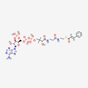 molecular formula C30H42N7O17P3S B12371311 S-[2-[3-[[(2R)-4-[[[(2R,3R,5R)-5-(6-aminopurin-9-yl)-4-hydroxy-3-phosphonooxyoxolan-2-yl]methoxy-hydroxyphosphoryl]oxy-hydroxyphosphoryl]oxy-2-hydroxy-3,3-dimethylbutanoyl]amino]propanoylamino]ethyl] (E)-3-phenylprop-2-enethioate 