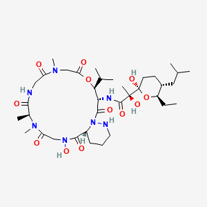 molecular formula C36H61N7O12 B12371571 (2S)-2-[(2R,5R,6R)-6-ethyl-2-hydroxy-5-(2-methylpropyl)oxan-2-yl]-2-hydroxy-N-[(3S,4S,13S,19R)-17-hydroxy-8,13,14-trimethyl-2,6,9,12,15,18-hexaoxo-4-propan-2-yl-5-oxa-1,8,11,14,17,23-hexazabicyclo[17.4.0]tricosan-3-yl]propanamide 