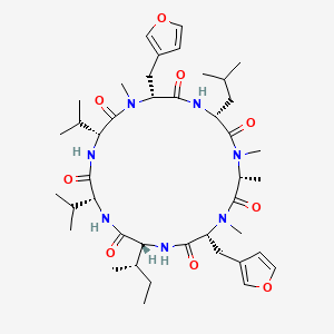 molecular formula C42H65N7O9 B12372107 cyclo[D-N(Me)Ala-D-N(Me)Ala(fur-3-yl)(fur-3-yl)-D-aIle-D-Val-D-Val-D-N(Me)Ala(fur-3-yl)(fur-3-yl)-D-Leu] 