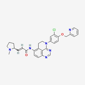 molecular formula C30H29ClN6O2 B12372405 Her2-IN-19 