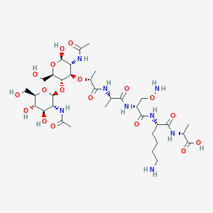 molecular formula C34H60N8O18 B1237255 肽聚糖（N-乙酰-D-葡萄糖胺） 