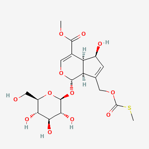 molecular formula C19H26O12S B1237266 茜草苷甲酯 CAS No. 122413-01-8