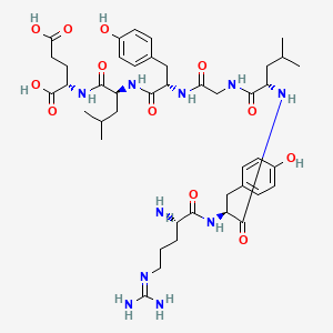 molecular formula C43H64N10O12 B12372670 Arg-Tyr-Leu-Gly-Tyr-Leu-Glu 