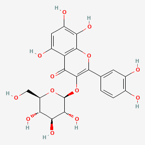 2-(3,4-dihydroxyphenyl)-5,7,8-trihydroxy-3-[(2S,3R,4S,5S,6R)-3,4,5-trihydroxy-6-(hydroxymethyl)oxan-2-yl]oxychromen-4-one