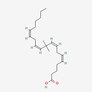 10,10-Dimethylarachidonic acid