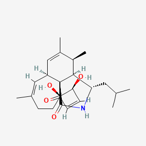 molecular formula C24H35NO4 B1237317 1H-Cycloundec(d)isoindole-1,15(2H)-dione, 3,3a,4,6a,9,10,11,12-octahydro-11,12-dihydroxy-4,5,8-trimethyl-3-(2-methylpropyl)-, (3S,3aR,4S,6aS,7E,11R,12S,13E,15aS)- CAS No. 71968-02-0