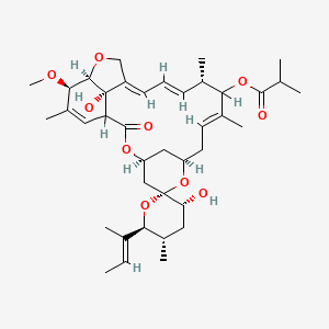 molecular formula C39H56O10 B1237321 [(3'R,4S,5'S,6S,6'S,8R,10E,13S,14E,16E,20R,21R,24S)-6'-[(E)-But-2-en-2-yl]-3',24-dihydroxy-21-methoxy-5',11,13,22-tetramethyl-2-oxospiro[3,7,19-trioxatetracyclo[15.6.1.14,8.020,24]pentacosa-10,14,16,22-tetraene-6,2'-oxane]-12-yl] 2-methylpropanoate CAS No. 127346-83-2
