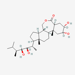 molecular formula C28H48O6 B12373392 Brassinolide-d5 