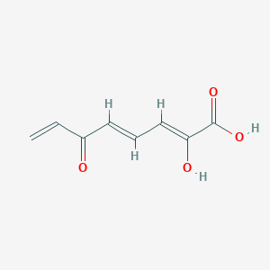 molecular formula C8H8O4 B1237381 2-Hydroxy-6-oxoocta-2,4,7-trienoate 