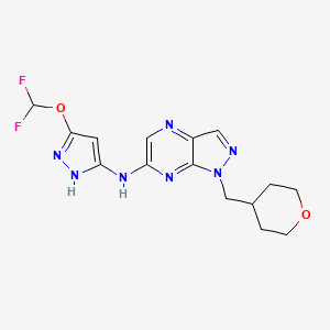 CDK2 Inhibitor BLU-222