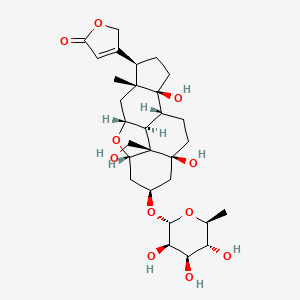 molecular formula C29H42O11 B12374152 Anhydro-ouabain 