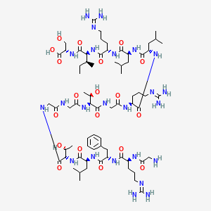 PSMA targeting peptide