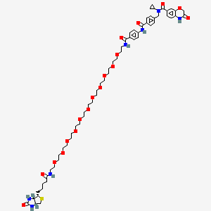 molecular formula C61H87N7O18S B12374766 N-[[4-[[4-[2-[2-[2-[2-[2-[2-[2-[2-[2-[2-[2-[2-[5-[(3aS,4S,6aR)-2-oxo-1,3,3a,4,6,6a-hexahydrothieno[3,4-d]imidazol-4-yl]pentanoylamino]ethoxy]ethoxy]ethoxy]ethoxy]ethoxy]ethoxy]ethoxy]ethoxy]ethoxy]ethoxy]ethoxy]ethylcarbamoyl]phenyl]carbamoyl]phenyl]methyl]-N-cyclopropyl-3-oxo-4H-1,4-benzoxazine-7-carboxamide 