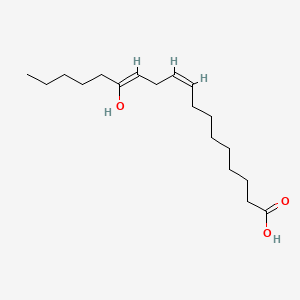 molecular formula C18H32O3 B1237482 13-Hydroxylinoleic acid CAS No. 67030-67-5