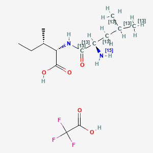 molecular formula C14H25F3N2O5 B12374931 (2S,3S)-2-[[(2S)-2-(15N)azanyl-4-(113C)methyl(1,2,3,4,5-13C5)pentanoyl]amino]-3-methylpentanoic acid;2,2,2-trifluoroacetic acid 